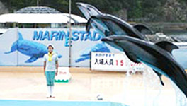 下田海中水族館